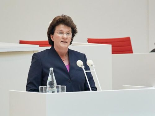 Sinti und Roma – Gedenken und Handeln gegen Diskriminierung